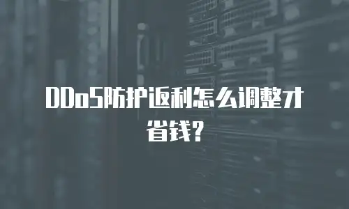 DDoS防护返利怎么调整才省钱？