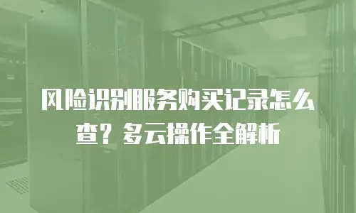 风险识别服务购买记录怎么查？多云操作全解析