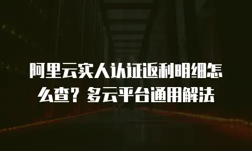 阿里云实人认证返利明细怎么查？多云平台通用解法
