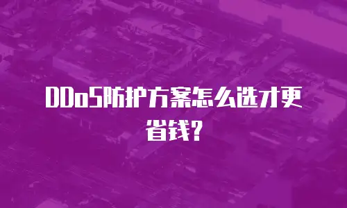 DDoS防护方案怎么选才更省钱？