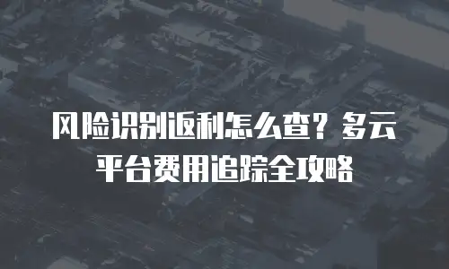 风险识别返利怎么查？多云平台费用追踪全攻略