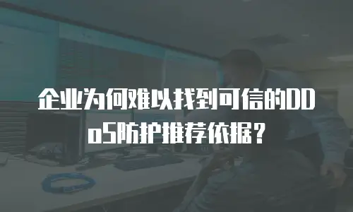 企业为何难以找到可信的DDoS防护推荐依据？