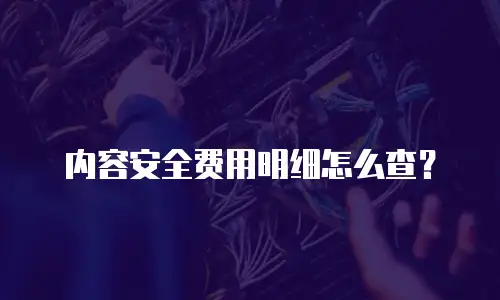 内容安全费用明细怎么查？