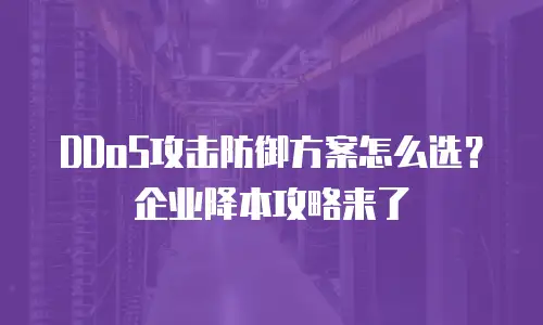 DDoS攻击防御方案怎么选？企业降本攻略来了