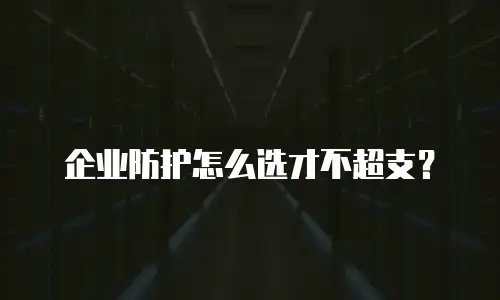 企业防护怎么选才不超支？