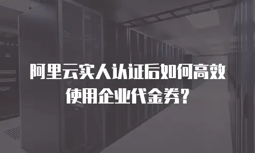 阿里云实人认证后如何高效使用企业代金券？