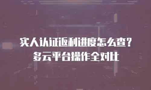 实人认证返利进度怎么查？多云平台操作全对比