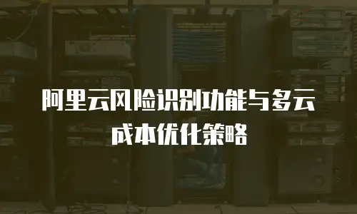 阿里云风险识别功能与多云成本优化策略