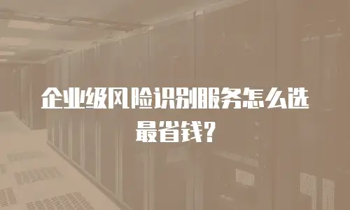 企业级风险识别服务怎么选最省钱？