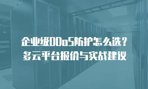 企业级DDoS防护怎么选？多云平台报价与实战建议