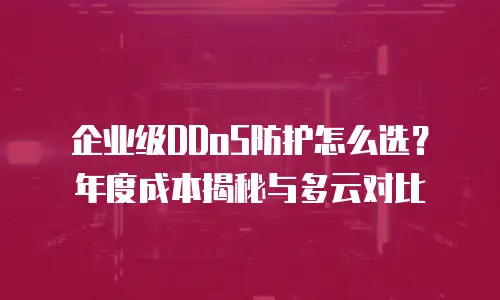企业级DDoS防护怎么选？年度成本揭秘与多云对比