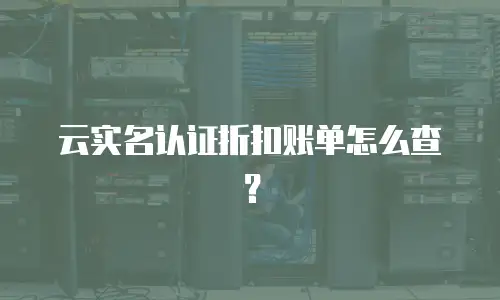 云实名认证折扣账单怎么查？