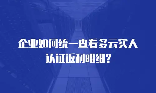 企业如何统一查看多云实人认证返利明细？