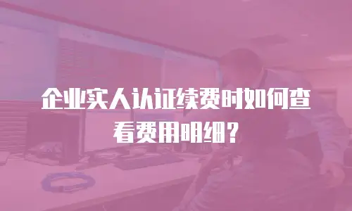 企业实人认证续费时如何查看费用明细？