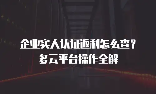 企业实人认证返利怎么查？多云平台操作全解