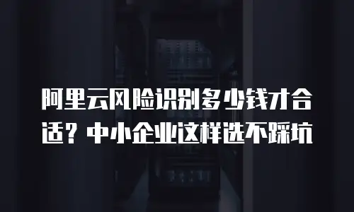 阿里云风险识别多少钱才合适？中小企业这样选不踩坑