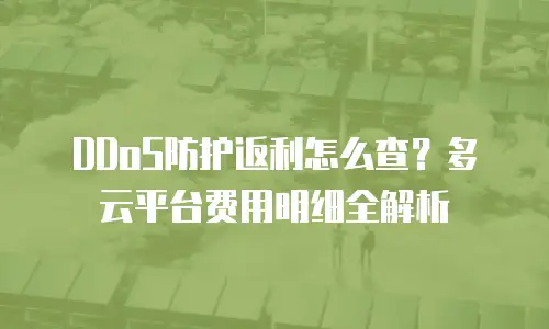 DDoS防护返利怎么查？多云平台费用明细全解析