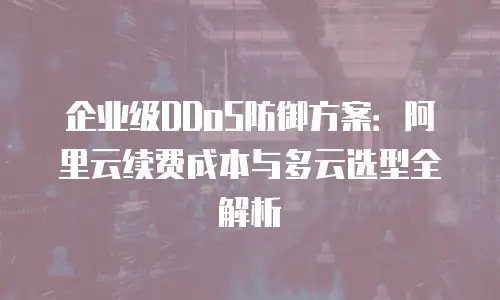 企业级DDoS防御方案：阿里云续费成本与多云选型全解析