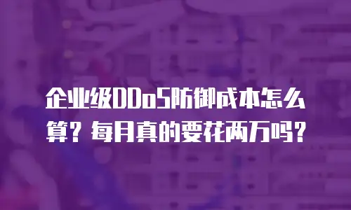 企业级DDoS防御成本怎么算？每月真的要花两万吗？