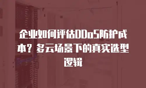 企业如何评估DDoS防护成本？多云场景下的真实选型逻辑