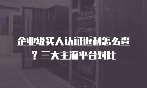 企业级实人认证返利怎么查？三大主流平台对比