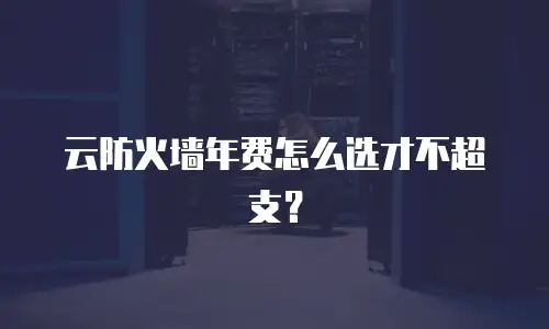 云防火墙年费怎么选才不超支？
