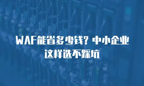 WAF能省多少钱？中小企业这样选不踩坑