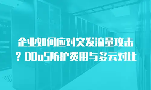 企业如何应对突发流量攻击？DDoS防护费用与多云对比