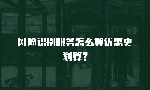 风险识别服务怎么算优惠更划算？