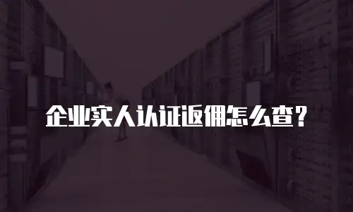 企业实人认证返佣怎么查？