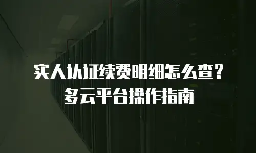 实人认证续费明细怎么查？多云平台操作指南