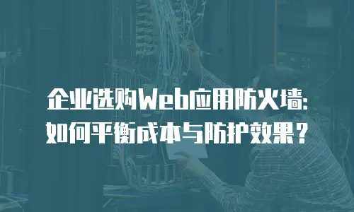 企业选购Web应用防火墙：如何平衡成本与防护效果？