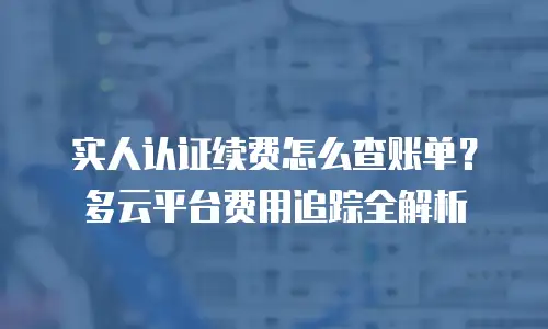 实人认证续费怎么查账单？多云平台费用追踪全解析