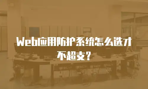 Web应用防护系统怎么选才不超支？