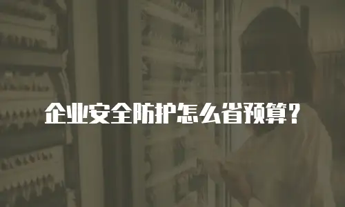 企业安全防护怎么省预算？