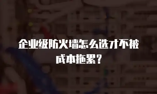 企业级防火墙怎么选才不被成本拖累？