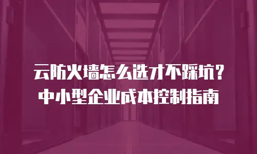 云防火墙怎么选才不踩坑？中小型企业成本控制指南