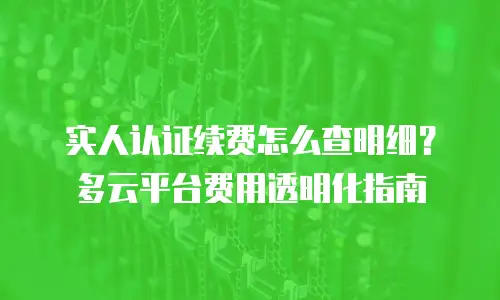 实人认证续费怎么查明细？多云平台费用透明化指南