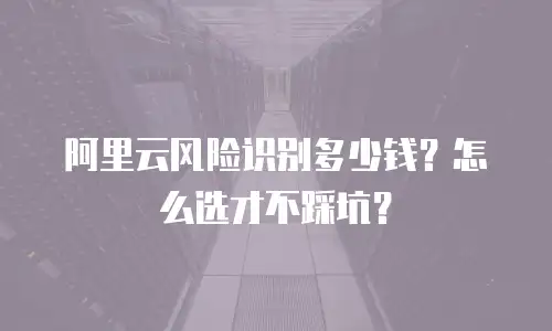 阿里云风险识别多少钱？怎么选才不踩坑？