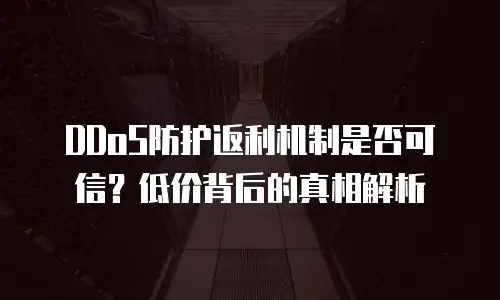 DDoS防护返利机制是否可信？低价背后的真相解析