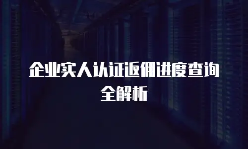 企业实人认证返佣进度查询全解析