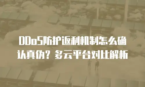 DDoS防护返利机制怎么确认真伪？多云平台对比解析