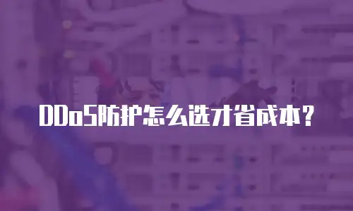 DDoS防护怎么选才省成本？
