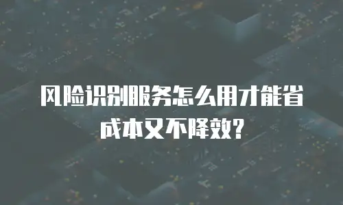 风险识别服务怎么用才能省成本又不降效？