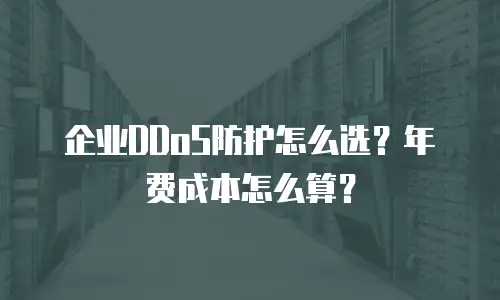 企业DDoS防护怎么选？年费成本怎么算？