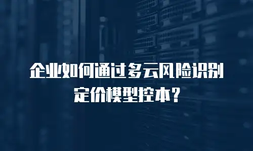 企业如何通过多云风险识别定价模型控本？