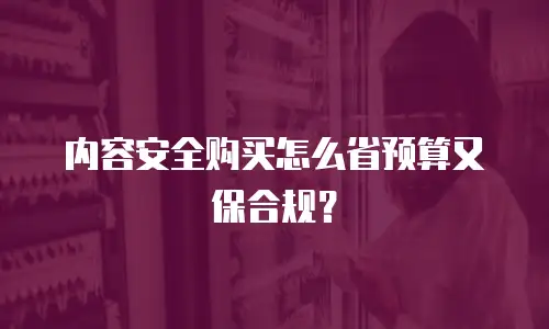 内容安全购买怎么省预算又保合规？