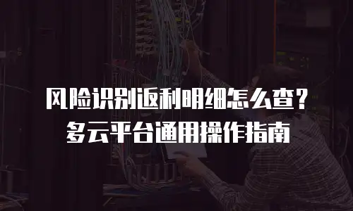 风险识别返利明细怎么查？多云平台通用操作指南