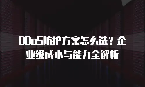DDoS防护方案怎么选？企业级成本与能力全解析