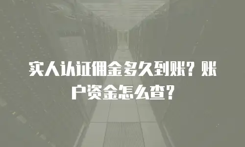 实人认证佣金多久到账？账户资金怎么查？